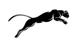 schwarzer Puma im Sprung