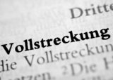 Wort "Vollstreckung" im Gesetzestext