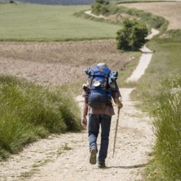 Wanderer wanert mit einem Gehstock in der rechten Hand und einem großen blauen Rucksack auf einem Feldweg zwischen grünen Wiesen