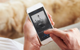 Frau hält weißes Smartphone in der Hand auf dem sie Musik abspielt