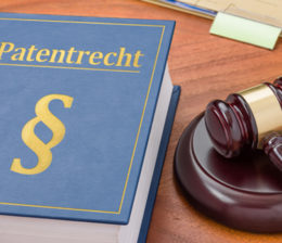 Blaues Gesetzbuch "Patentrecht" liegt auf einem Schriebtisch, daneben liegt ein Richterhammer und eine Akte