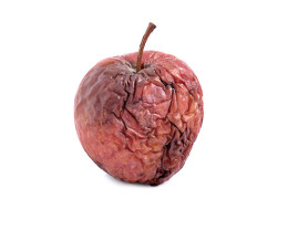 fauliger, roter Apfel auf weißem Hintergrund