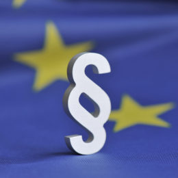 Silbernes Paragraphenzeichen vor einer europäischen Flagge.