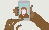 Ein Affe macht mit einem Smartphone ein Selfie