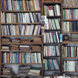 viele Bücher stehen in einem großen Bücherregal