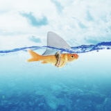 © alphaspirit - Fotolia.com