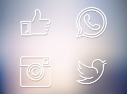 Social Media Icons - Facebook Like, WhatsApp, Instagram, Twitter