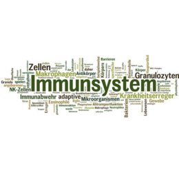grafische Zusammenstellung mehrere Wörter rund um den Hauptbegriff "Immunsystem"