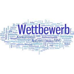 Wordcloud bestehend aus Begriffen, die etwas mit Wettbewerb und Konkurrenten zu tun haben