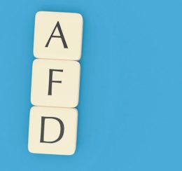 Würfel mit Buchstaben Kürzel Afd