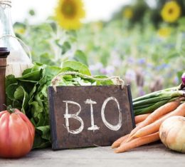 Schild mit der Aufschrift "Bio" und Gemüseauswahl drumherum