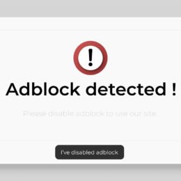 Adblock Warnung in einem Browser Fenster