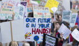 Fridays for Future Plakate auf einer Demonstration