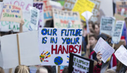 Fridays for Future Plakate auf einer Demonstration