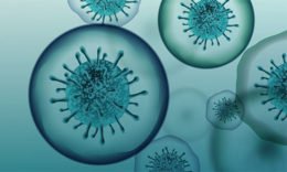 Corona - Virus - blauer Hintergrund