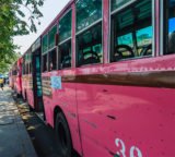 Busse in magenta auf der Strasse