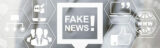 Fake-News in sozialen Netzwerken