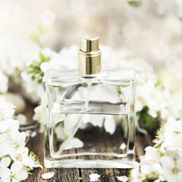 transparenter schlichter Parfum-Flakon steht inmitten weißer Frühlings-Blumen