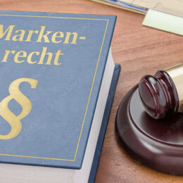 Richterhammer liegt neben blauen Markenrechtsbuch
