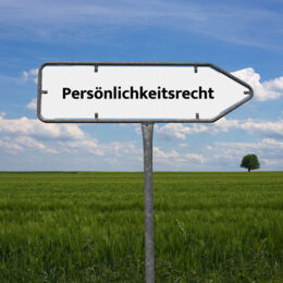 Ein weißes Verkehrsschild mit dem Schriftzug "Persönlichkeitsrecht" vor einer Wiese, im Hintergrund blauer Himmel und ein Baum am Horizont