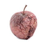 © siriratsavett88 - stock.adobe.com