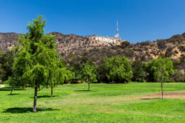 Park mit Hollywood Hügel